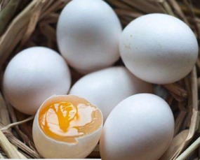 常吃鸽子蛋竟有这六大养生功效