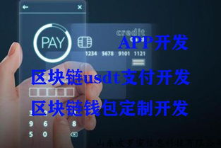 USDT官网下载,开发一个区块链app多少钱