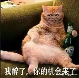 发愁年轻人不买你的酒 你对他们的喝酒方式一无所知