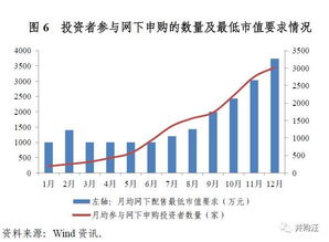 2021年网下申购深圳市值最多的是哪一只股票