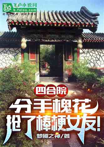 四合院 从采购员开始小说同好作品推荐 