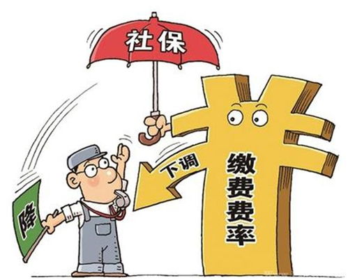 社保如何自己缴纳（社保如何自己缴纳社保）-图1