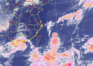 台风 摩羯 或于12日登陆浙中北部 宁波明天将有大到暴雨 