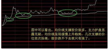 怎么利用分时对个股进行高抛低吸