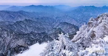 一场大雪落在白茫上