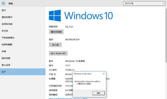 win10显示没有安装简体中文