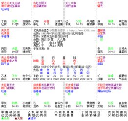 紫微斗数星盘麻烦帮忙大师们看下 