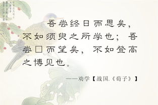 关于不懂得的诗句