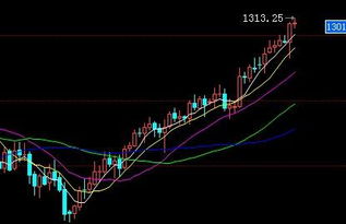 1、黄金td手续费是多少？