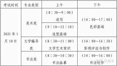 美术联考270分什么概念(上海美术联考总分多少)