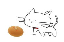 猫可以吃鸡蛋吗,猫可以吃鸡蛋吗熟的