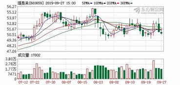 璞泰来上半年营业收入达78.06亿元，同比增长13.21%