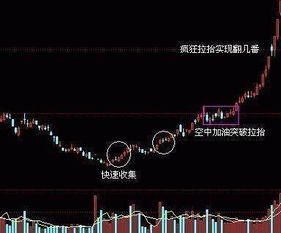 股票中“地量”的概念是什莫1