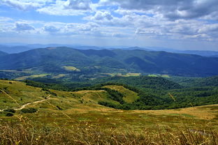 鼎湖山，自然与心灵的交响，鼎湖山的作文300字写风景