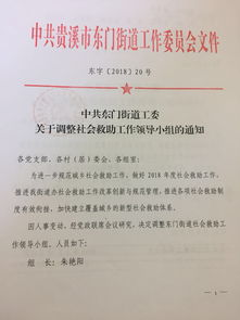 社会救助工作总结,民政局上半年个人工作总结