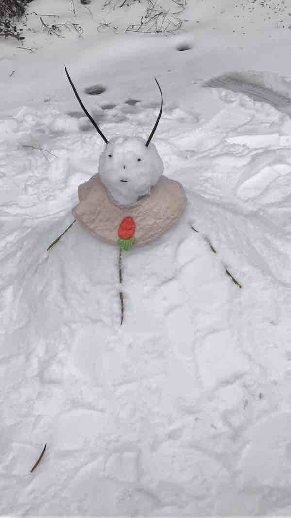 关于雪人的儿童诗句