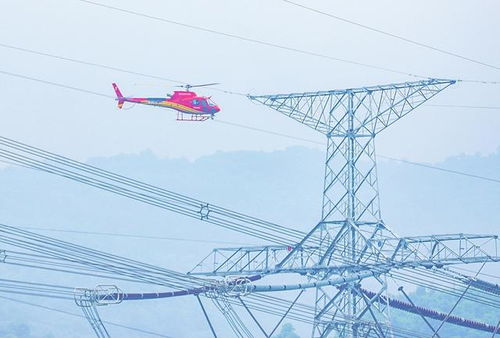 国家电网采用直升飞机对特高压和超高压线路进行 巡检