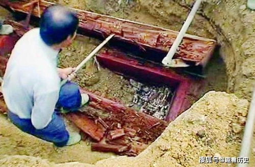 江苏扬州工地发现汉墓,男子开挖掘机盗墓,抓坏三座金丝楠木棺椁