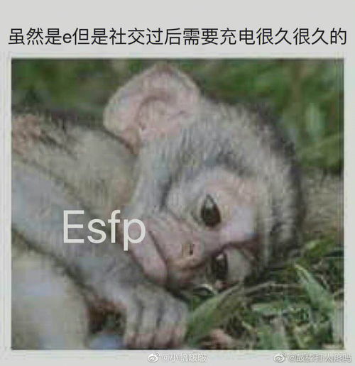 esfp容易被什么样的人吸引 