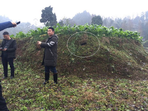 武当王氏风水 中国最权威看风水 风水大师 风水培训 风水学习班门户网 