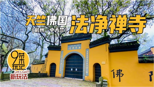 杭州西湖景区天竺佛国之中天竺,听阿九讲讲法净禅寺的历史由来 