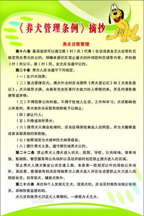 北京市养犬管理规定的第十一条 