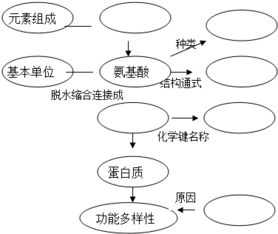 达尔文的自然选择学说与孟德尔的遗传定律分别奠定了进化理论与遗传学的基础.下面有关遗传和进化的分析.你认为正确的一项是 ①遗传是进化的基础.通过遗传使控制性状的基因在子代中得以延续和传递 