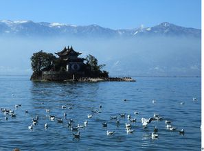 昆明五一旅游去哪里比较好 这些地方你值得一去 