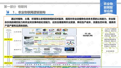 网站内容查重工具-一站式解决方案