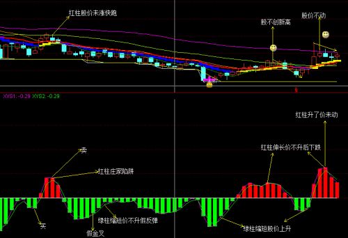 为什么我的日K里的成交量，只有均线，没那个绿柱和红柱啊，怎么设计啊