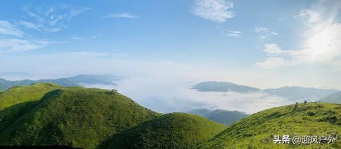 揭秘广西户外露营的好去处,整片的高山草甸