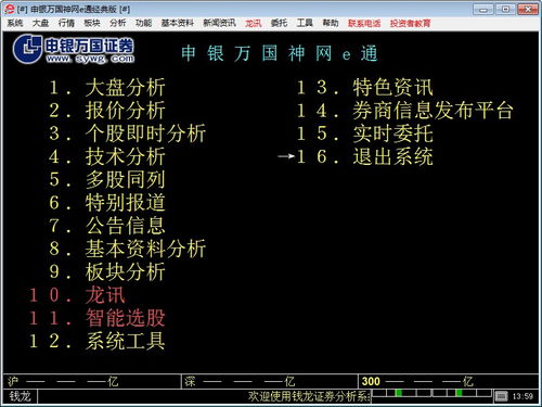 申银万国证券软件下载，申银万国神网e通金典版，申银万国证券交易软件下载