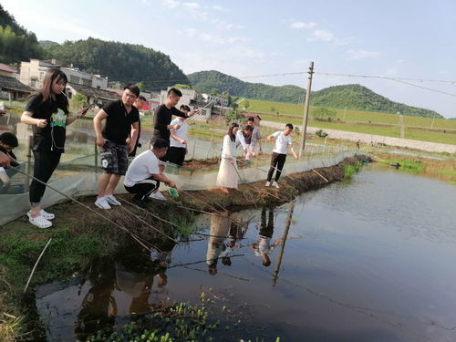 长沙周边哪里有免费好玩的地方 适合一日游,人少