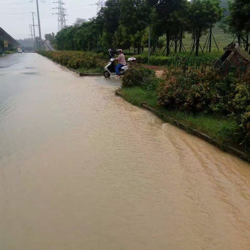 厦门一夜惊雷暴雨,这些路段积水断交 未来3天还有 