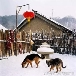 东北人的农村,有多少人经历过照片中的生活 