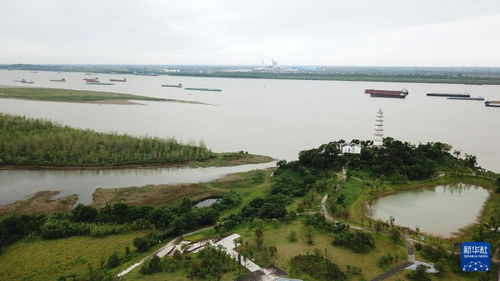 湖南岳阳临湘