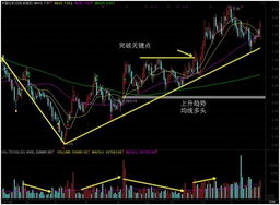 选择一个成长性股票从那几个方面入手，技术面多点还是基本面多点？？？