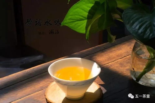 禅茶一味 闲观叶落地,静坐一杯茶