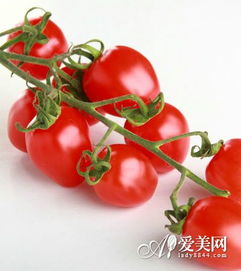 番茄的功效与作用,西红柿最好的四大品种？