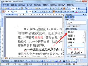 Word2003文档快速清除格式和样式 