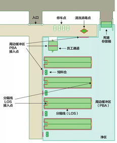 基础知识 非洲猪瘟是一种传染速度慢却致命的疾病