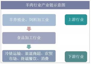 烧烤 火锅 新零售,羊肉消费需求持续增长,上游竞争格局如何