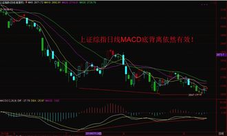 在哪里可以看大盘消息基本面