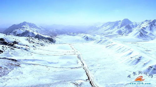 飞雪迎春到 镜头定格祁连山草原早春雪景图