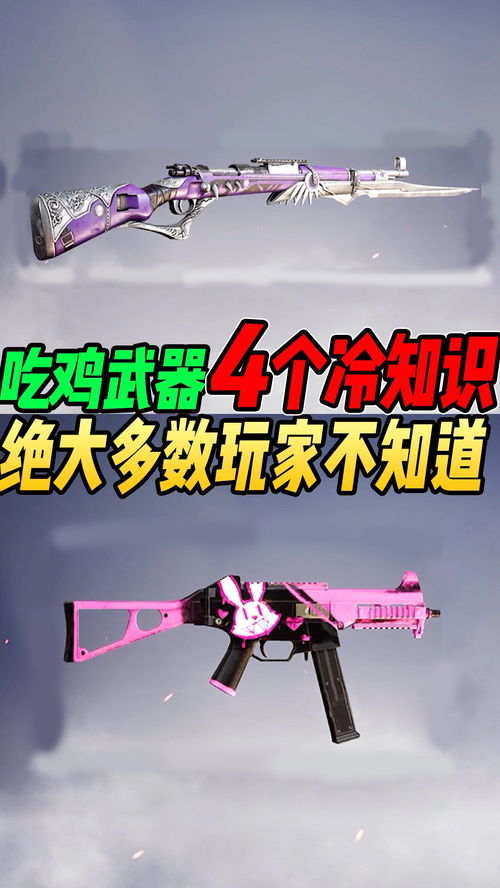 武器里面有什么冷知识(武器常识)