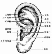 招风耳整形方法 怎么招风耳整形优缺点 注意事项 术后恢复 悦美整形 