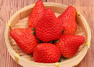 草莓多少钱一斤现在市场价2023,【创名县·看今昭】在昭化，2023年的第一口草莓+一颗红心火龙果