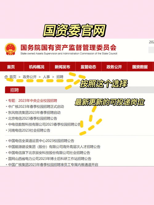 想进国企央企 这些王炸渠道千万别错过?? 