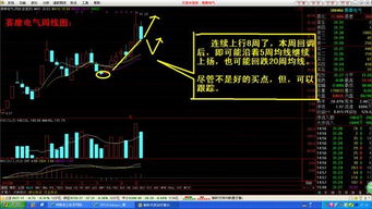 在熊市中为什么个股票能涨几十个点，甚至翻倍？它有哪些必要条件？