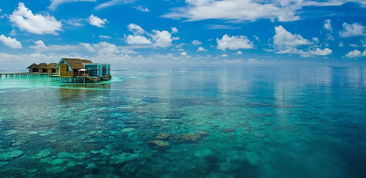 【马尔代夫五星岛六日游】攻略分享，带你玩转度假胜地！